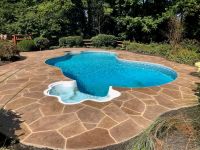 stained-concrete-pool-washington-d-c-pool-sundek_94 (1)